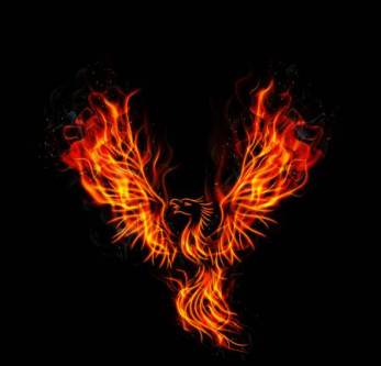 48052412-stock-vector-illustration-of-fire-burning-phoenix-bird-with-black-background